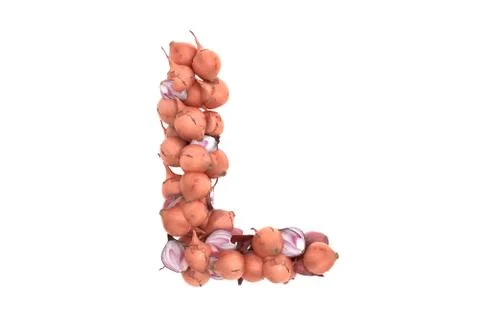 Onion letter L on white background Stock Illustration