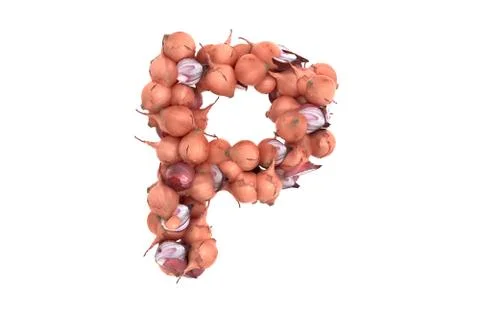 Onion letter P on white background Stock Illustration