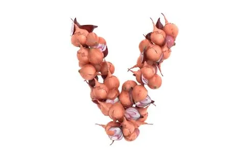 Onion letter V on white background Stock Illustration