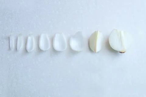 Onion on a light background Stock Photos