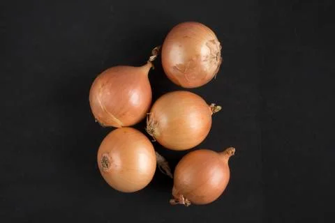 Onion on paper background Stock Photos