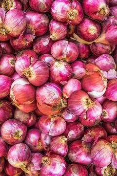 Onion Pattern Stock Photos