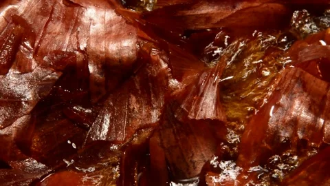 Onion peel is being prepared Stock Footage 312526643