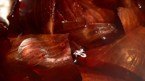 Onion peel is being prepared Видео 312526706