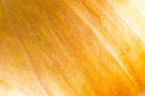 Onion peel texture background. Vegetable close up photo, macro view. Beauti.. Stock Photos