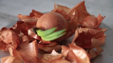 ONION PEELS 3 Stock Footage 155653481