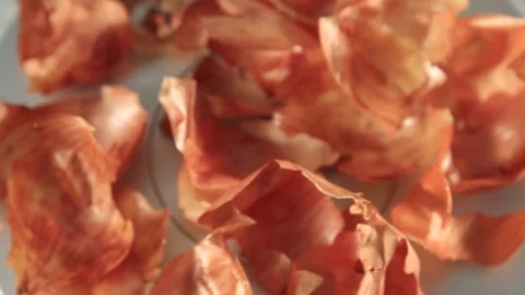 ONION PEELS Stock Footage 155653483