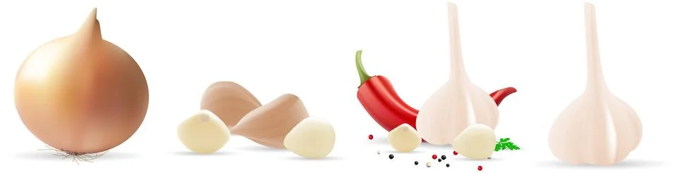 Onion, pepper and garlic. Vector illustration on white background, eps 10. Stock Illustration