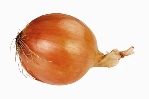 Onion Stock Photos