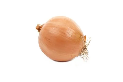 Onion Stock Photos