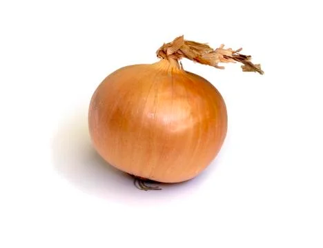 Onion Foto stock