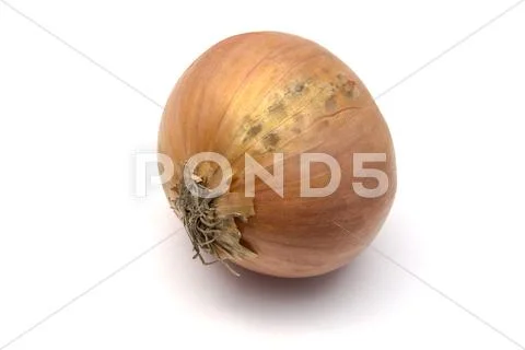 Onion Stock Photos