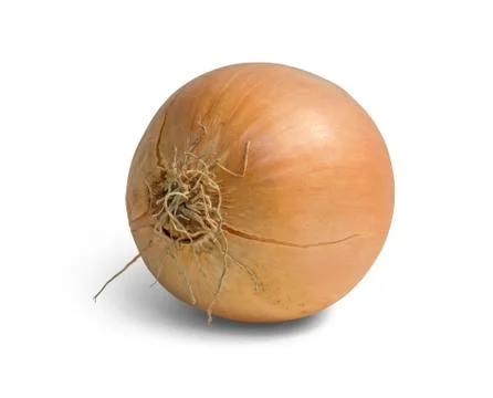 Onion Stock Photos