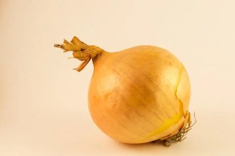 Onion Stock Photos