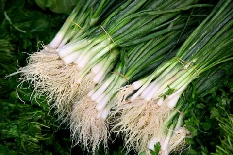 Onion Stock Photos