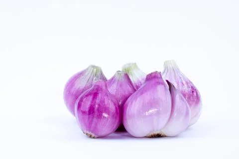 Onion Stock Photos