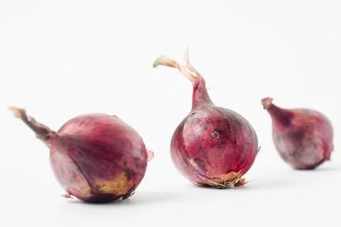 Onion Stock Photos
