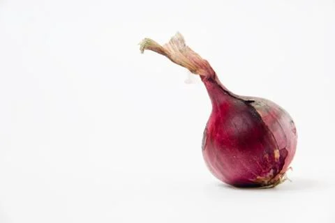 Onion 스톡 사진