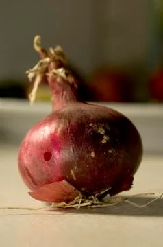 Onion Foto stock
