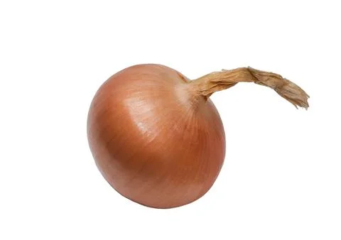 Onion Stock Photos