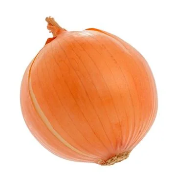 Onion Stock Photos
