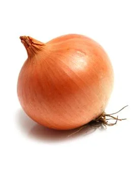 Onion Stock Photos