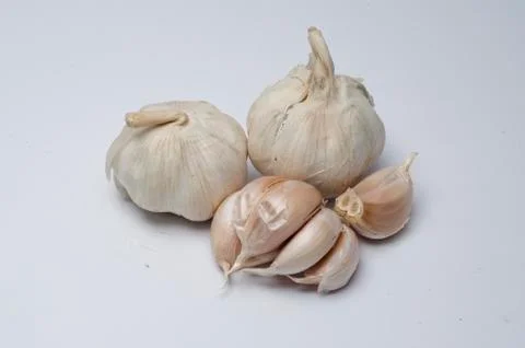 Onion Stock Photos