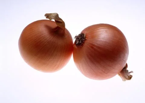 Onion Stock Photos