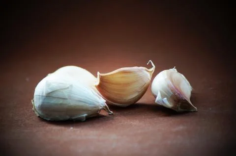 Onion Stock Photos