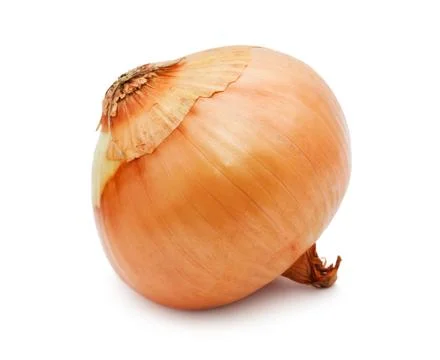 Onion Stock Photos