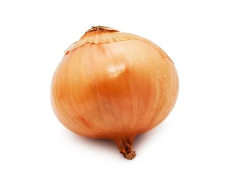 Onion Stock Photos