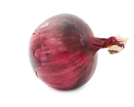 Onion Stock Photos