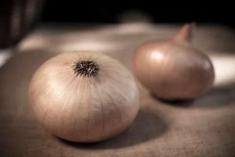 Onion Stock Photos