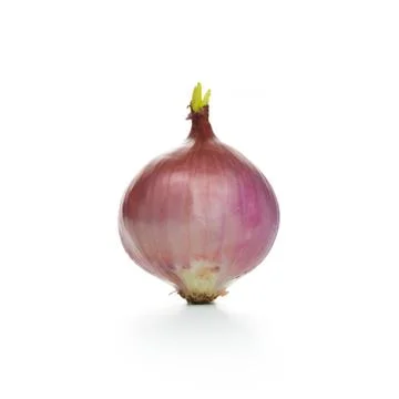 Onion Stock Photos