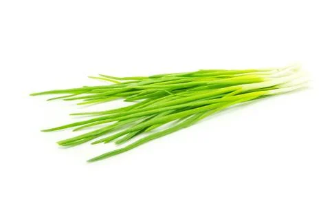 Onion Stock Photos