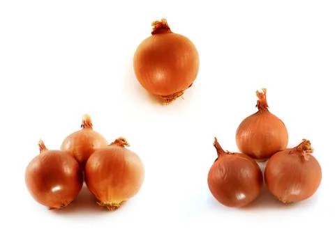 Onion Stock Photos