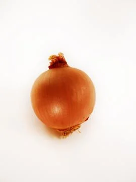 Onion Stock Photos