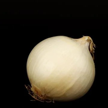Onion Stock Photos