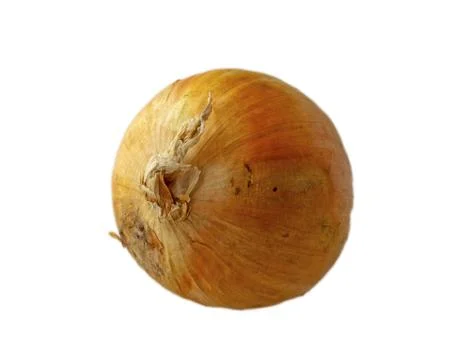 Onion Stock Photos