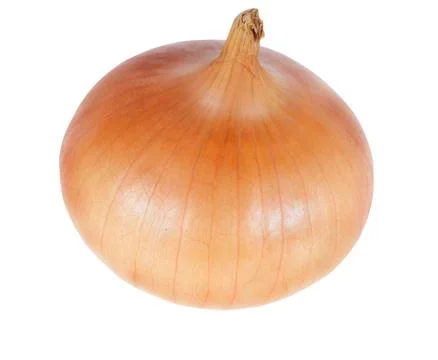 Onion Foto stock