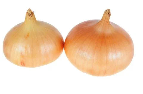 Onion Stock Photos