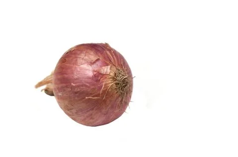 Onion Stock Photos