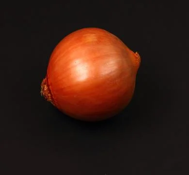 Onion Stock Photos