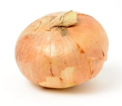Onion Stock Photos