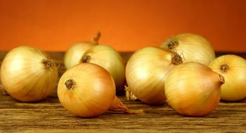 Onion Stock Photos