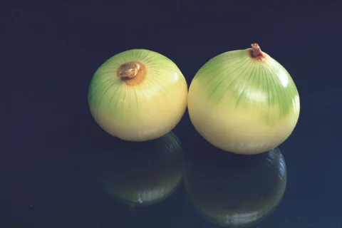 Onion Stock Photos