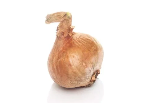 Onion Stock Photos