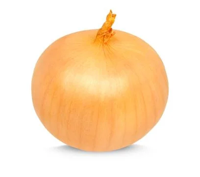 Onion Stock Photos