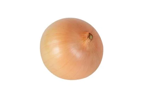 Onion Stock Photos