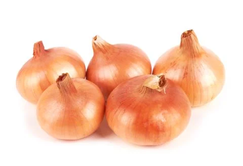 Onion Stock Photos